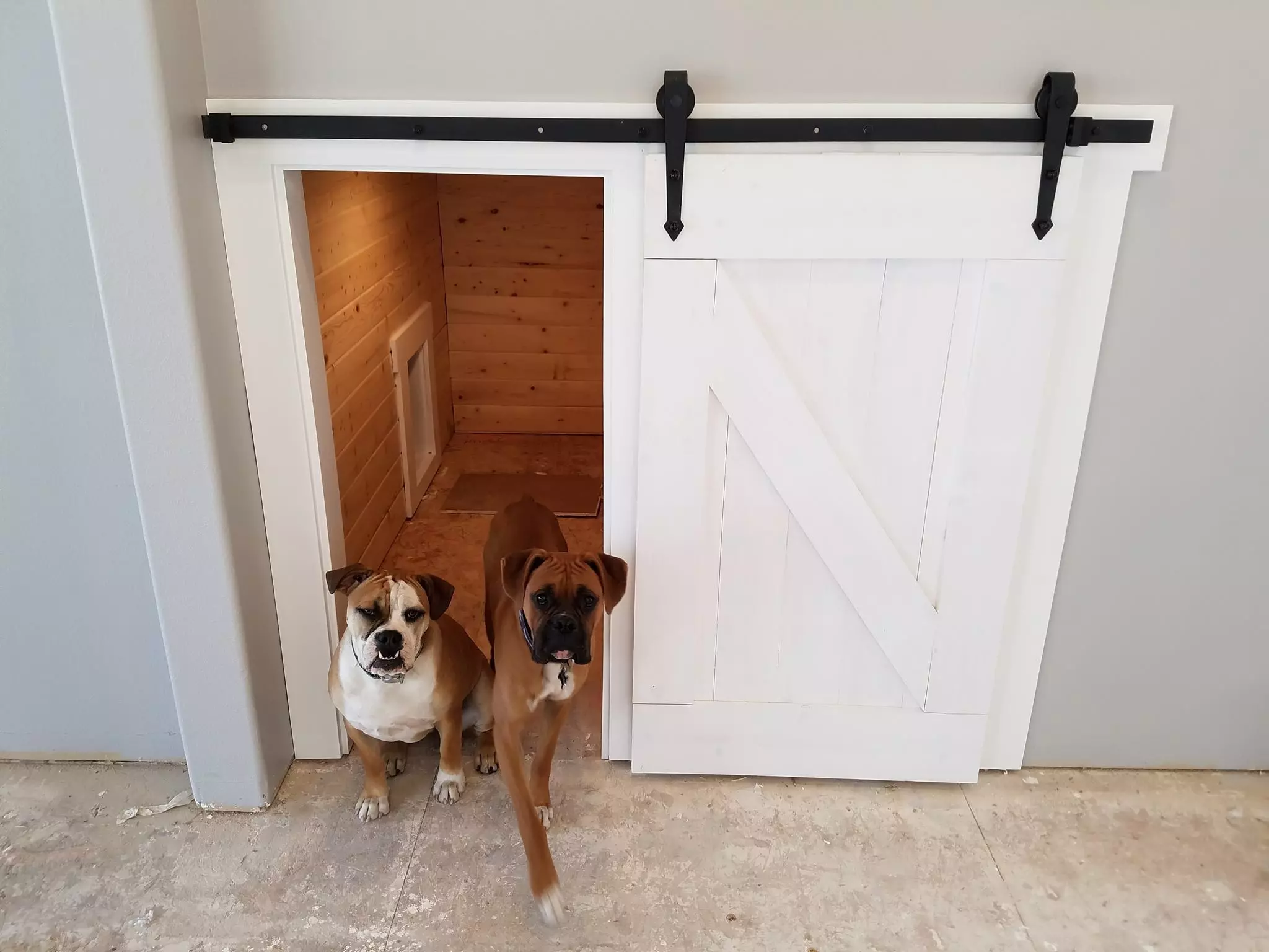dog kennel doors photo 17
